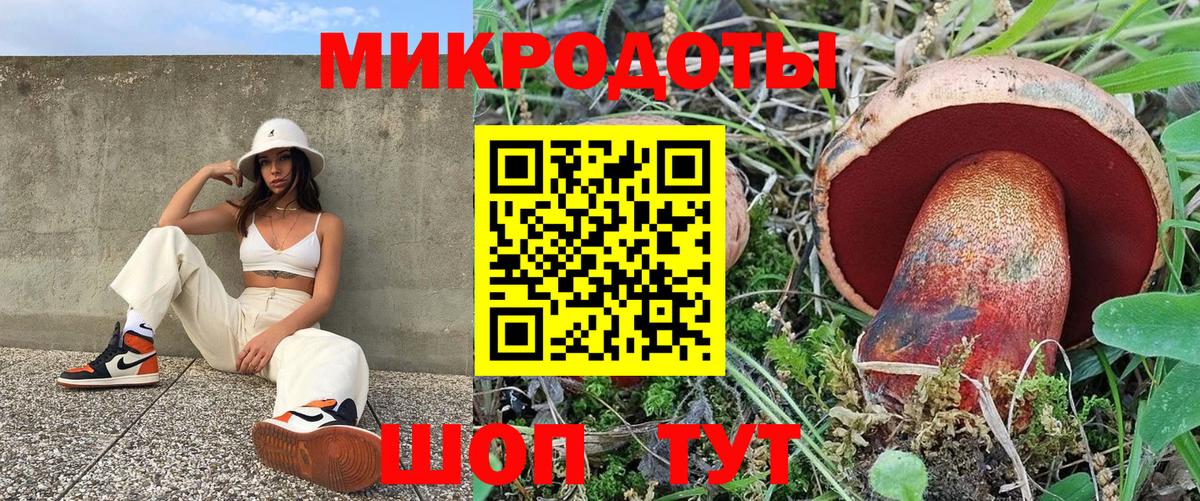Вышний Волочёк  Псилоцибиновые грибы Psilocybe  Вход с VPN 